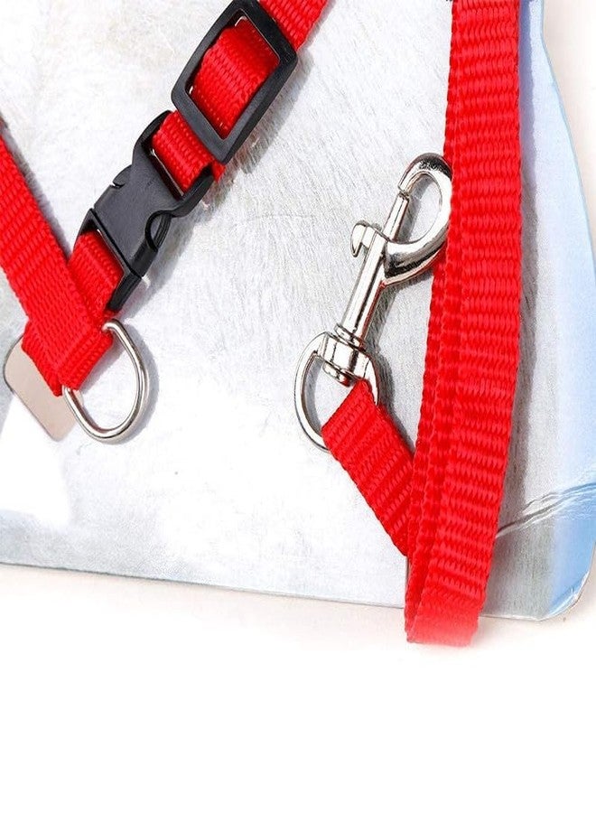 KittuPet Cat Harness and Leash Adjustable Nylon Halter Harness Kitten Nylon Strap Belt Safety Rope Leads (Red) - Image 4